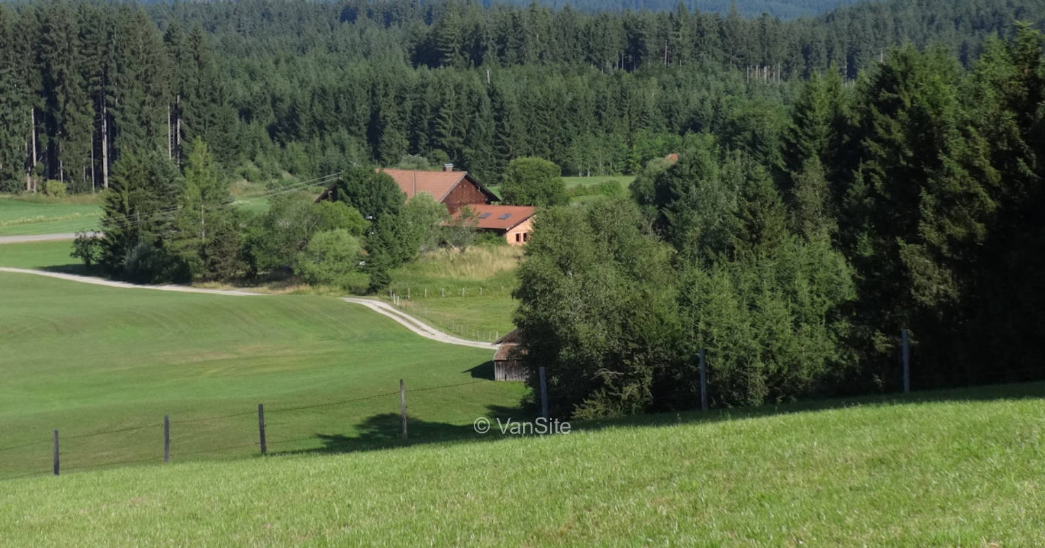 Meadow in front of pasture