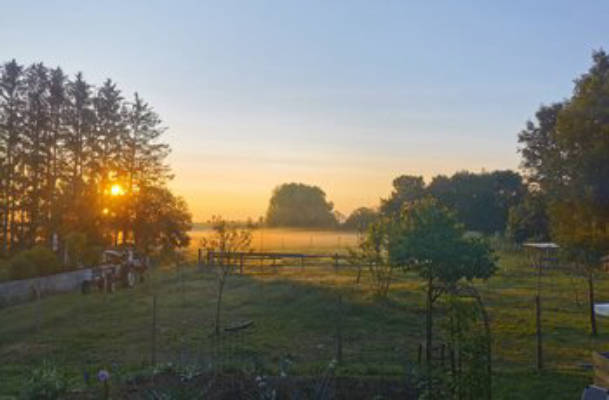Camping bei den Lebenshofalpakas
