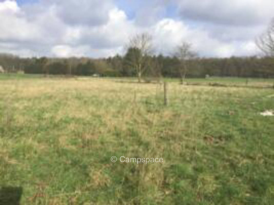 Schöner Campingplatz am Reichswald