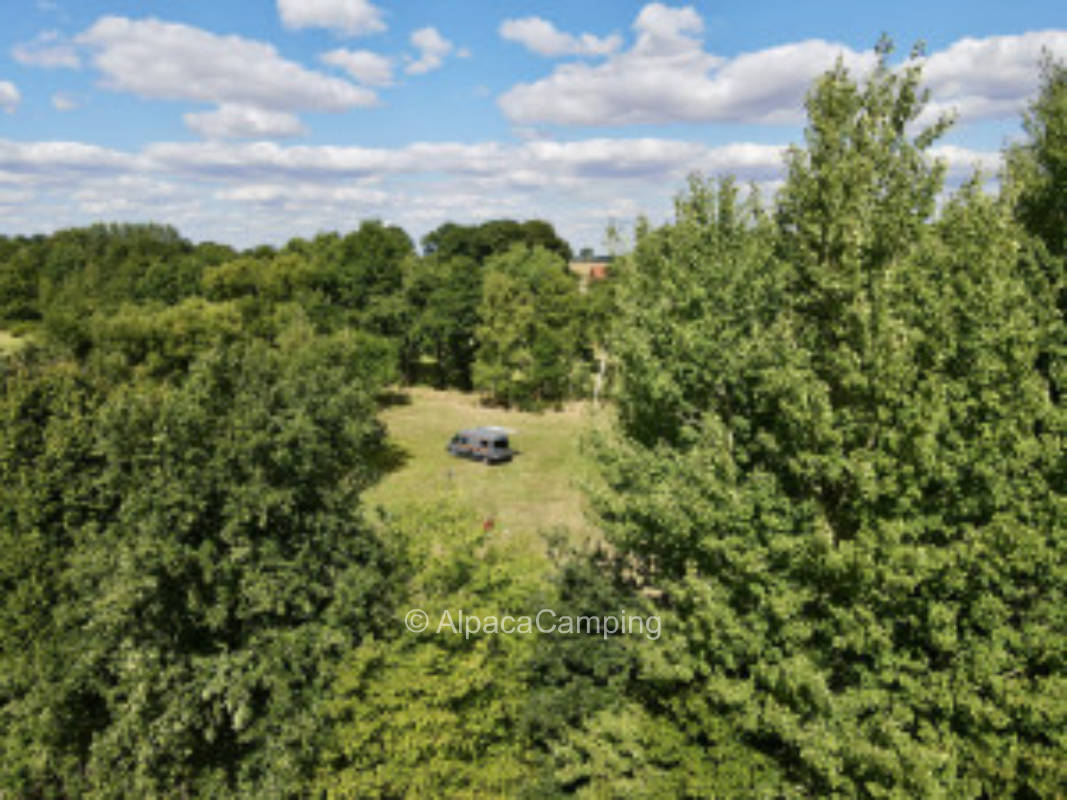Outdoor parking space in the yard