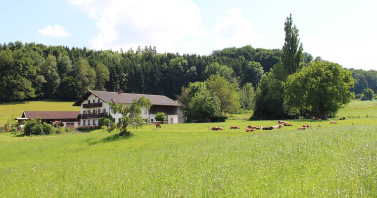 Komm mit in's Wunderland...