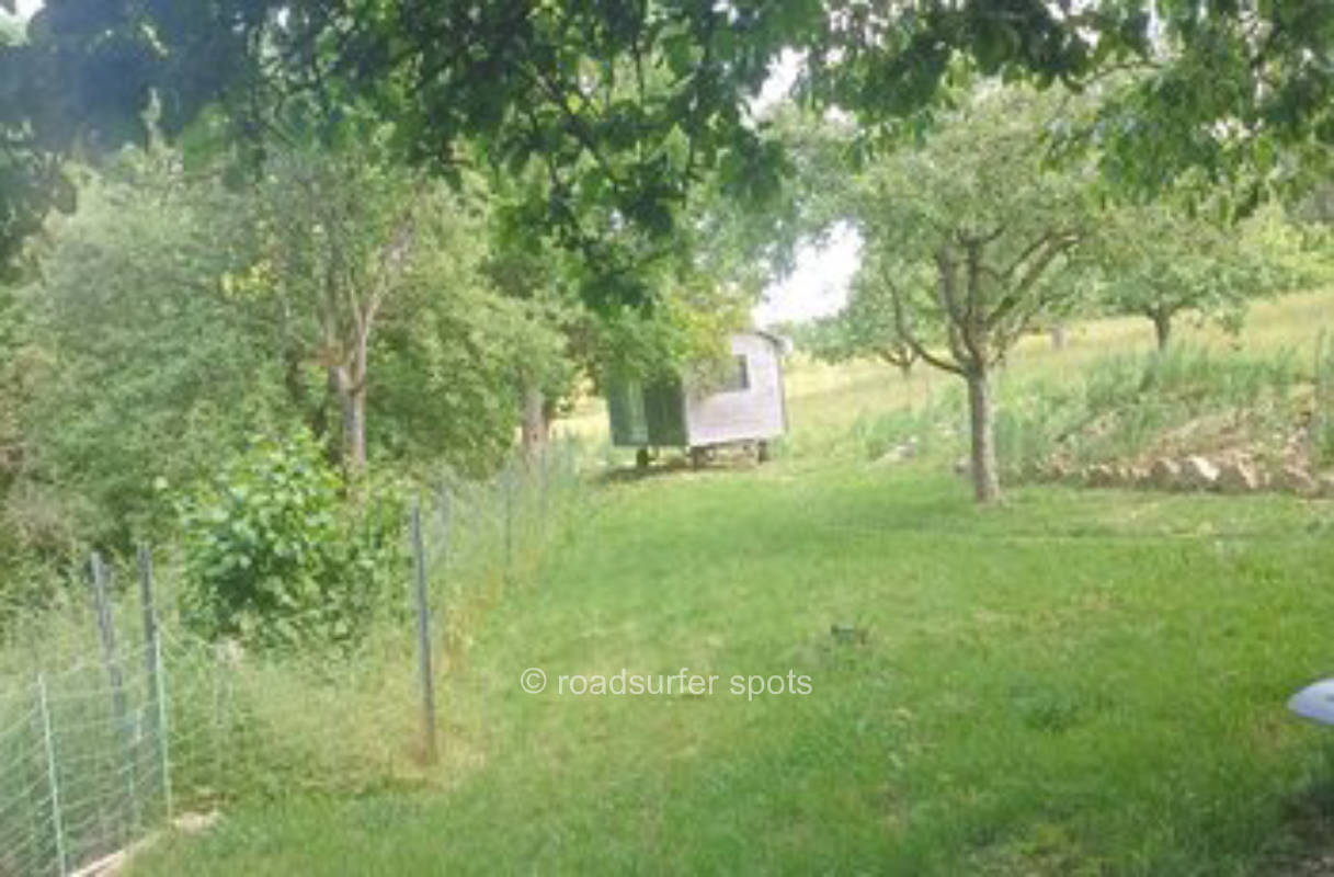 Camping unter dem alten Walnussbaum