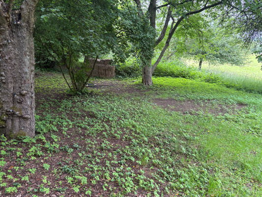 Naturcamp kadenbach ubernachten am lagerfeuer