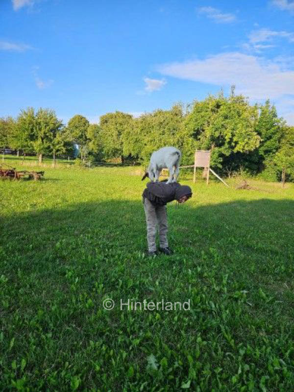 Ländliche Idylle fern ab von Lärm und Hektik
