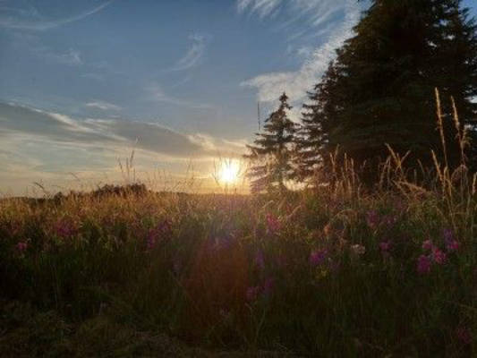 Idylle auf dem Land im lieblichen Taubertal