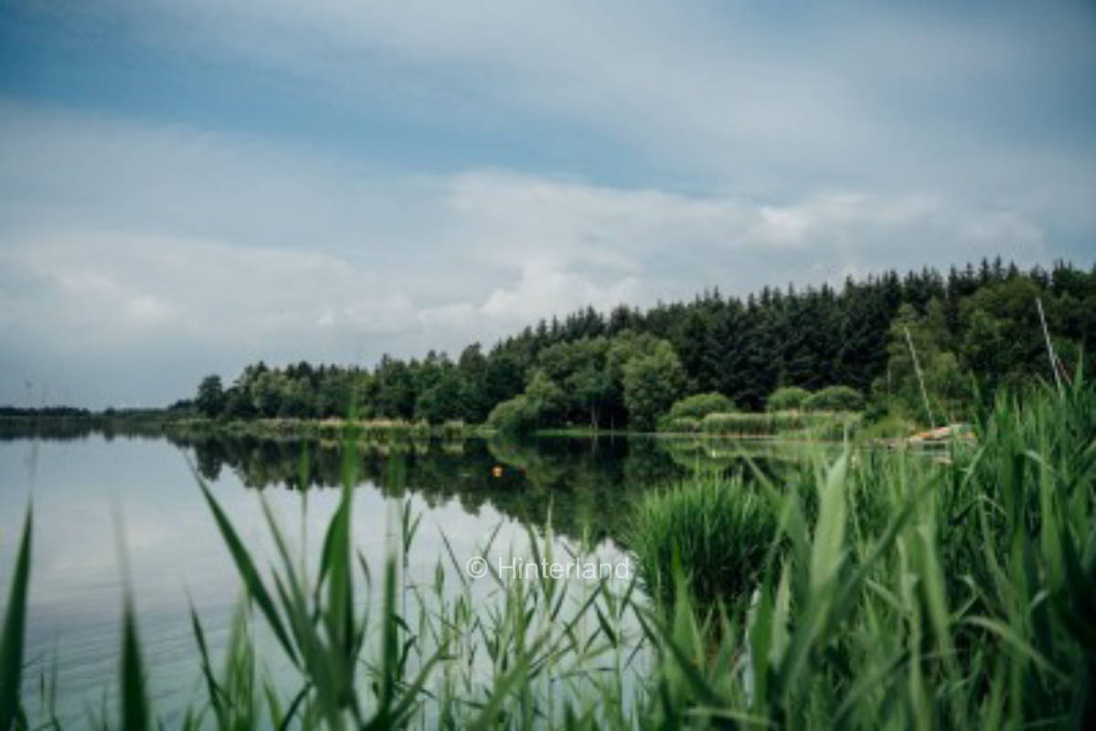 Am See mit eigenem Steg im Geestland