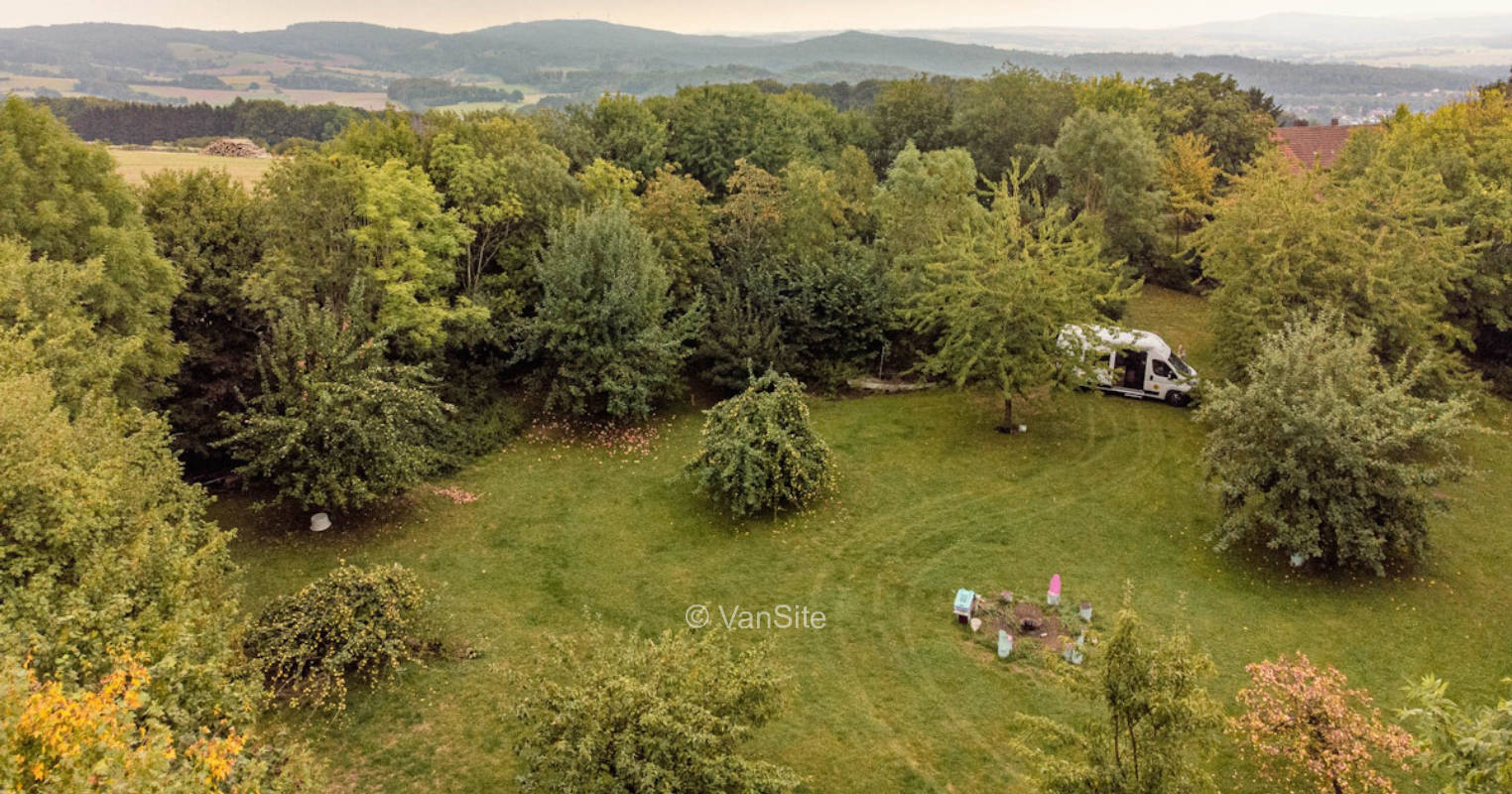 Relaxing in the meadow orchard