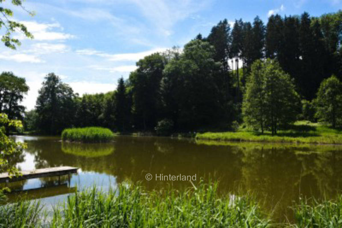 Natur genießen im schönen Allgäu, Nähe Bodensee