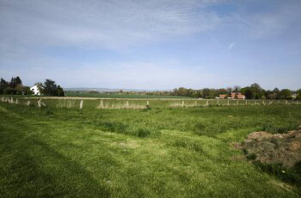 Meadow pitches on small lifestyle farm