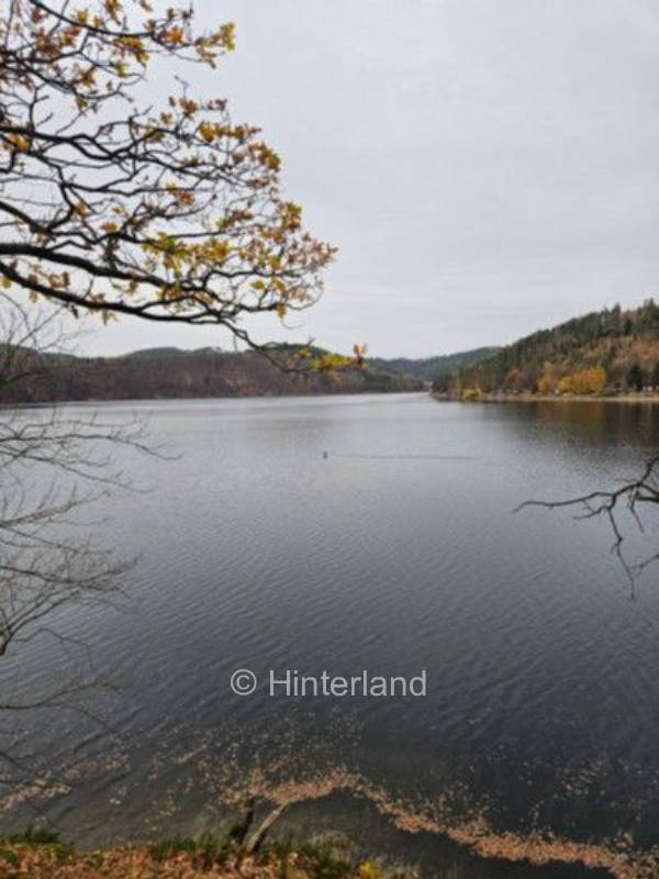 Thüringer Meer hautnah