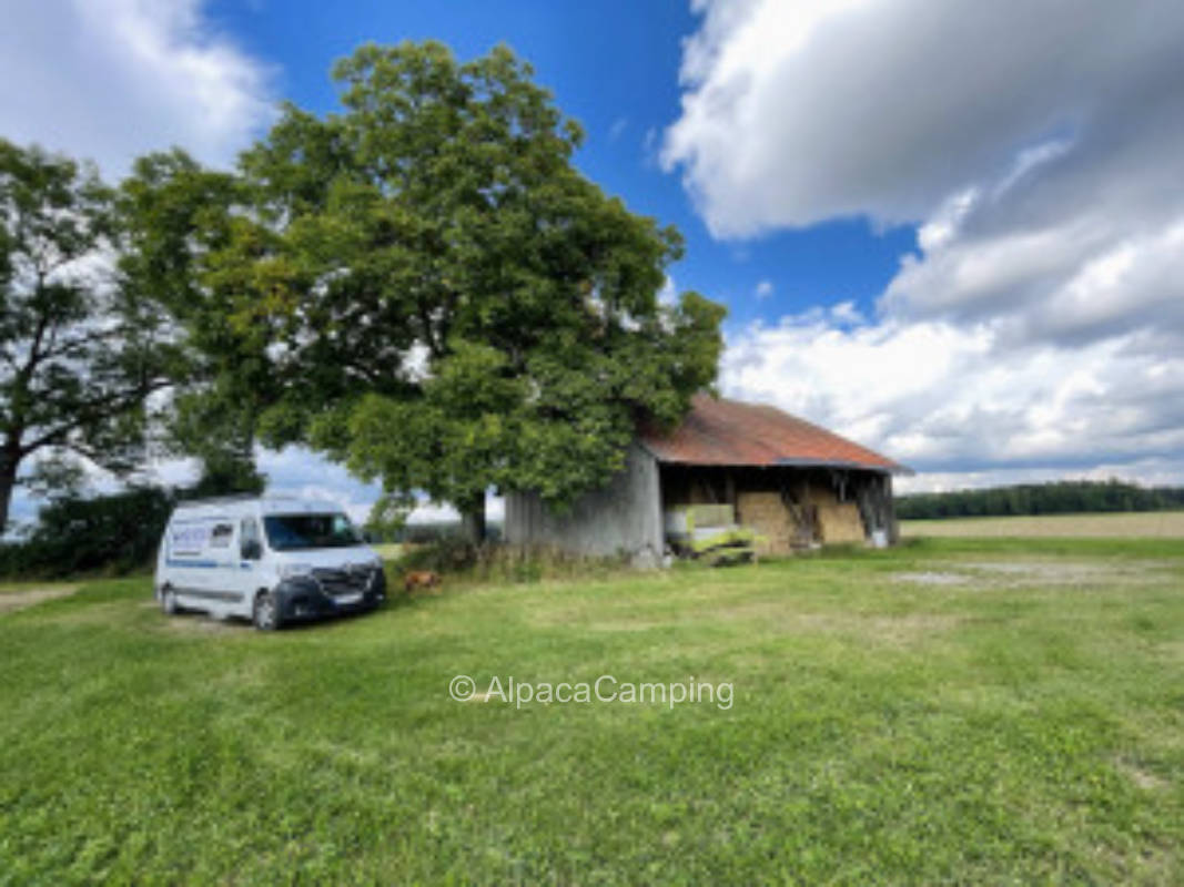 Under the old ash trees on the quiet outskirts of Bachhaupten # 1