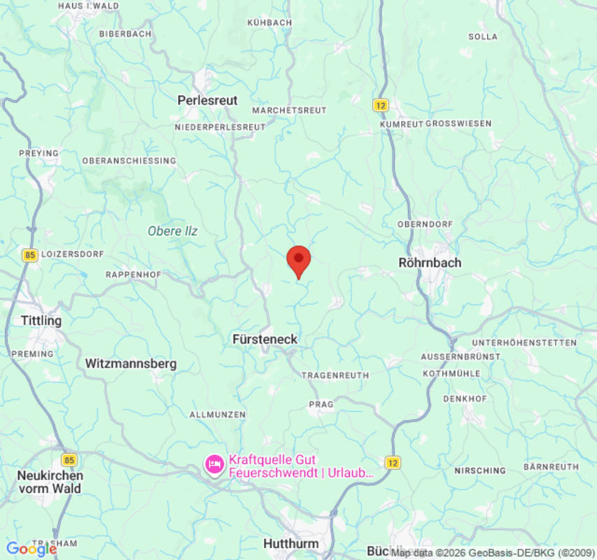 Grüne Wiese am Bachrand