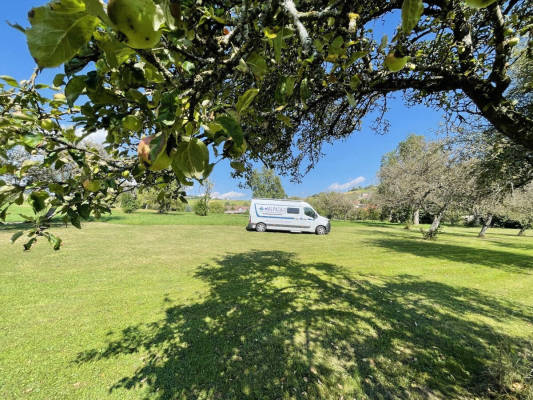 AlpacaCamping 1568