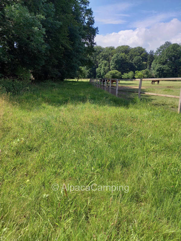 Single parking space next to horse meadow