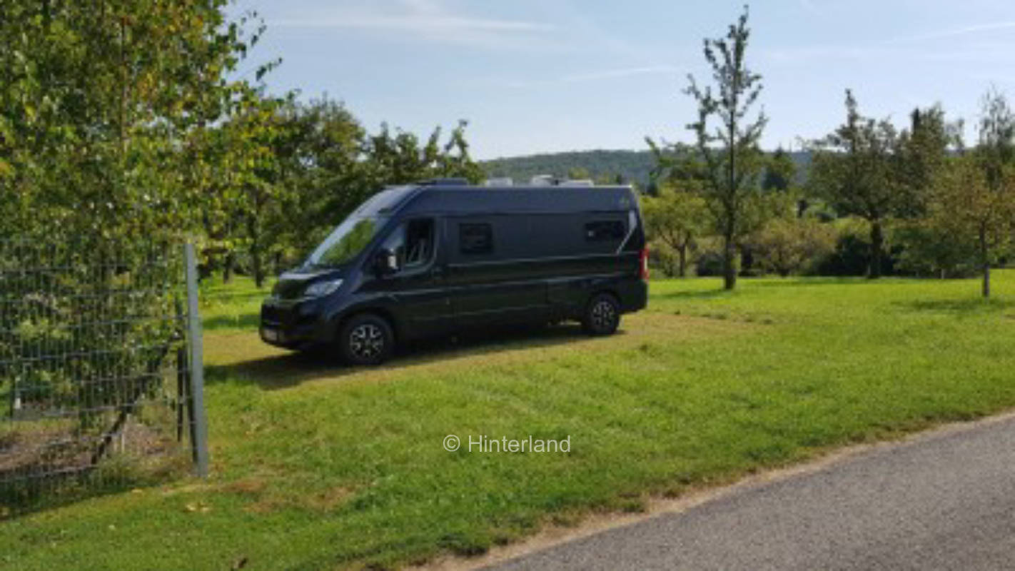 Orchard meadow in Heckengäu