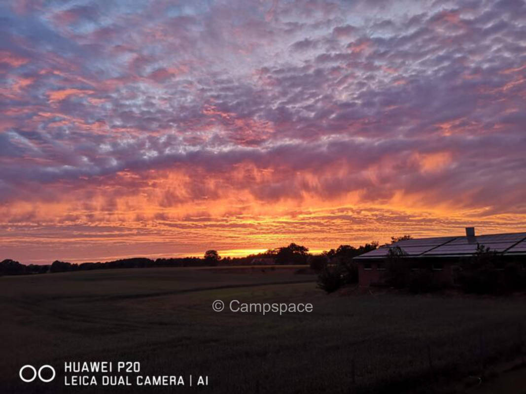 Erholung auf der Obstwiese im Grünen