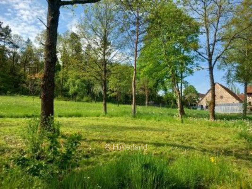 Absolute Ruhe am Waldrand mitten in der Natur