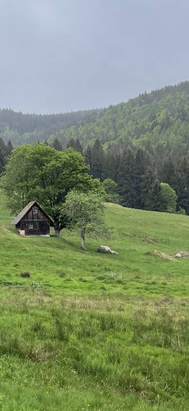 Traumwiese neben historischer Mühle