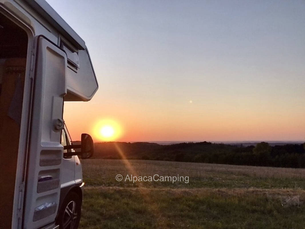 Dream view in the greenery #1