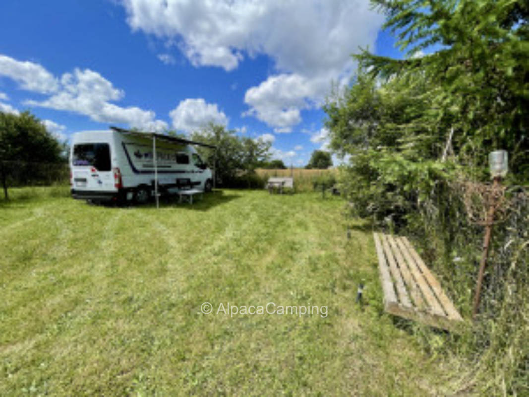 Gemütlicher Stellplatz auf einer Wiese in Wilmshagen #3