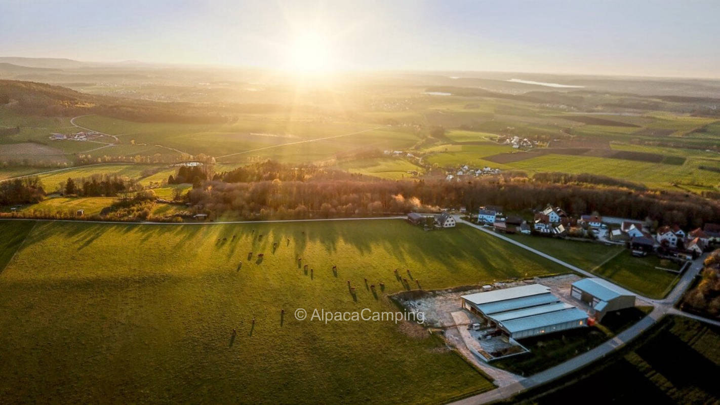 Right by the cow pasture #1