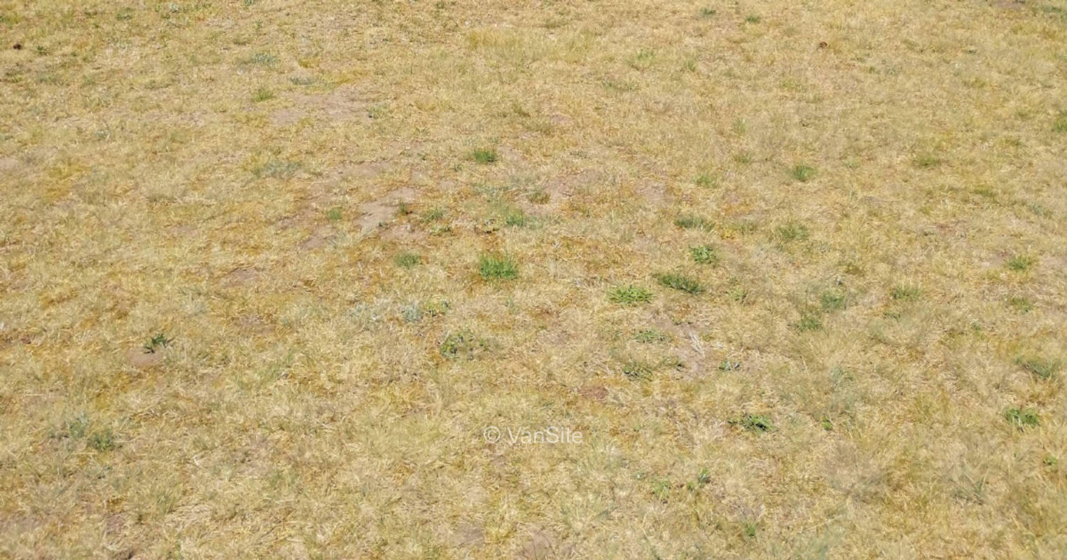 Dry grass meadow at the hotel and restaurant "Zum Birkenhof".