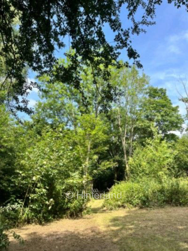 Kleine Lichtung - Waldstellplatz am Westerwaldrand