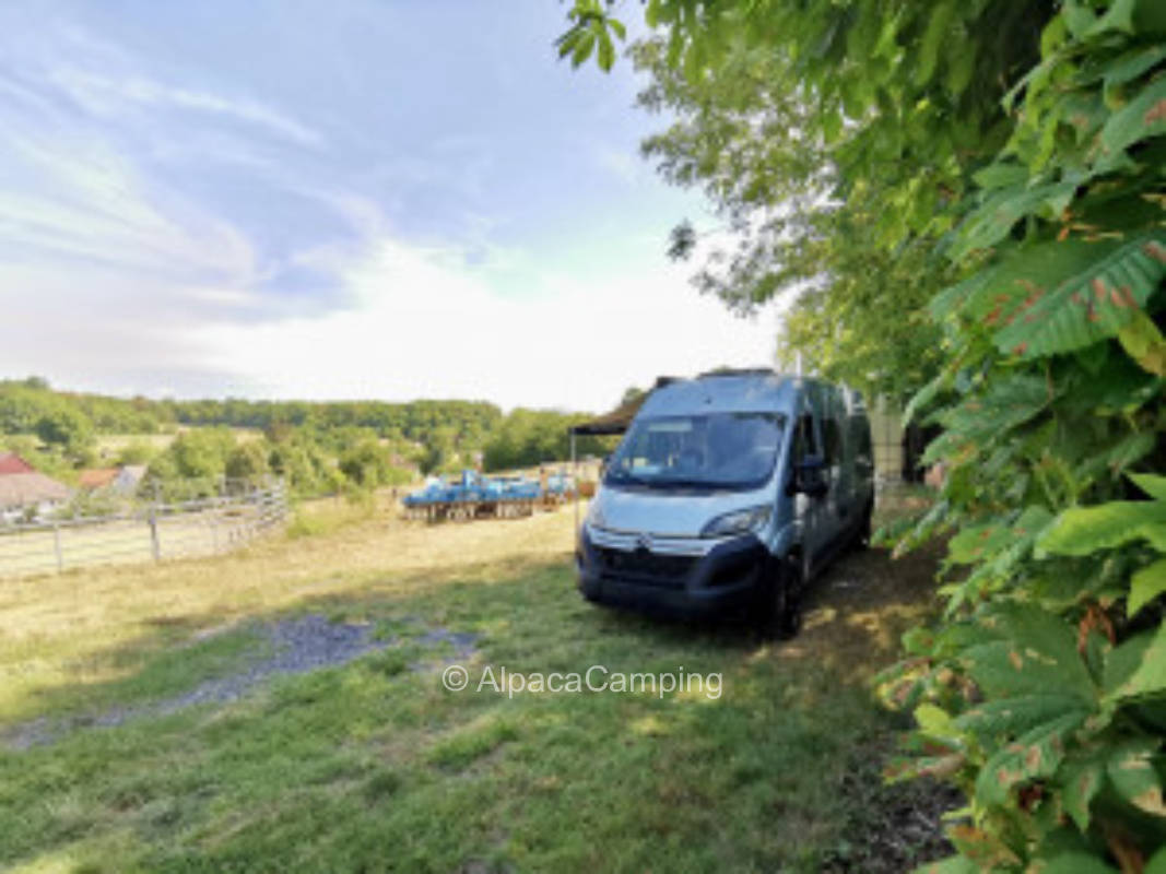 Linger and enjoy nature where the horses welcome visitors #3
