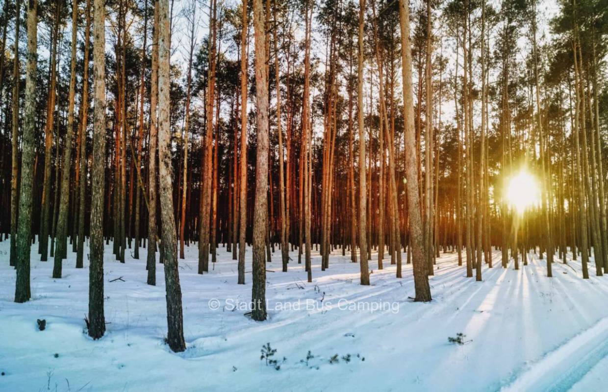 Mollinghof - Schwarzenburg 1