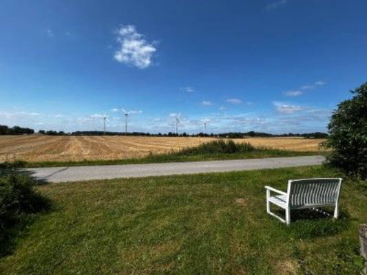 Schöner Panorama-Platz umgeben von alten Bäumen