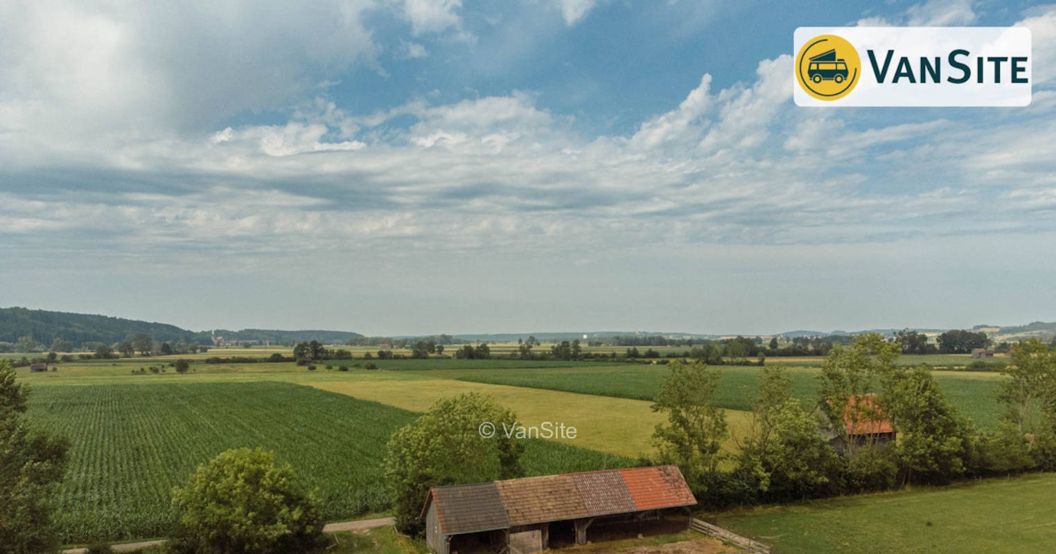 Moostaile suckler cow pasture