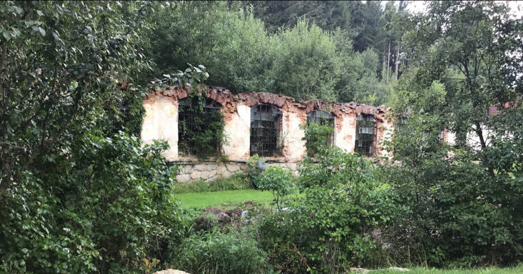 Wiese am Bach