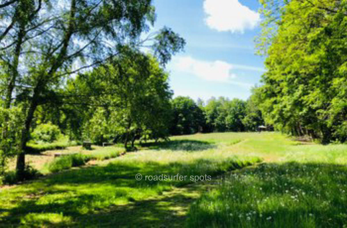 Vanstellplatz: Ruhiger Harzblick im Grünen