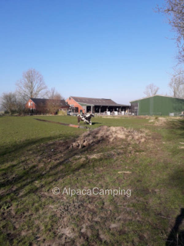 Wunderschöne Auszeit mitten in der Natur