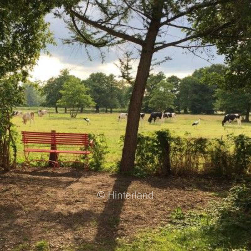At the willow in the country idyll near Bremen