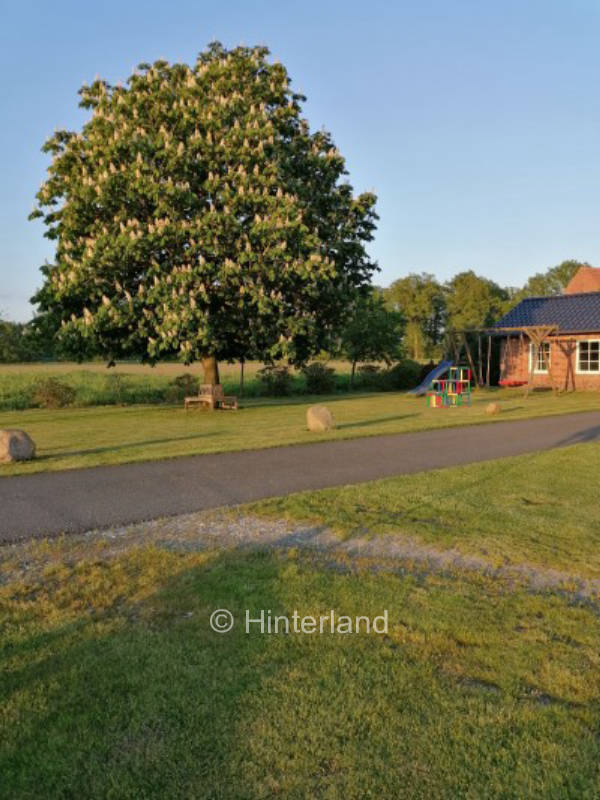 Romantische Abende mit Lagerfeuer 