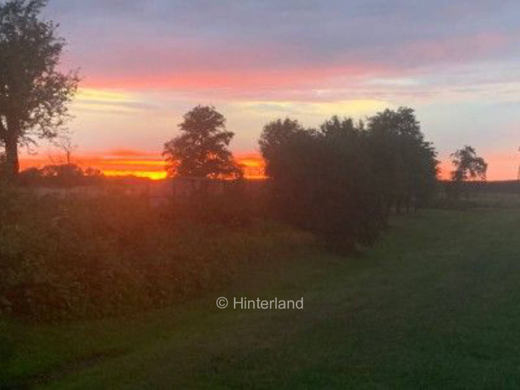 Große Wiese am Naturpark Hoher Fläming 