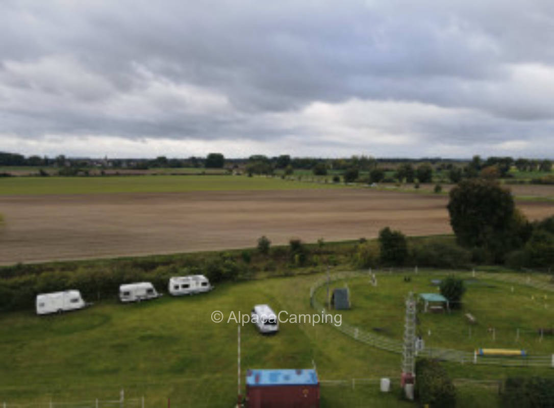 Pitch near Neustadt an der Weinstraße #4