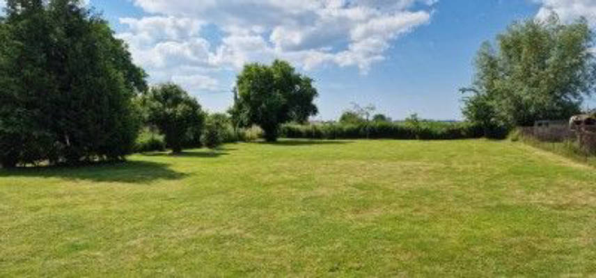 Meadow at the field edge near the Baltic Sea