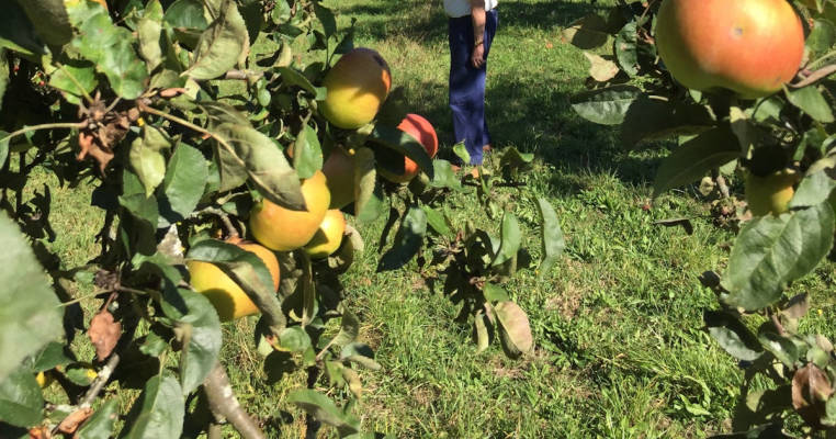 Ohne andere Camper: Obstwiesen-Yoga am Remstal-Radweg