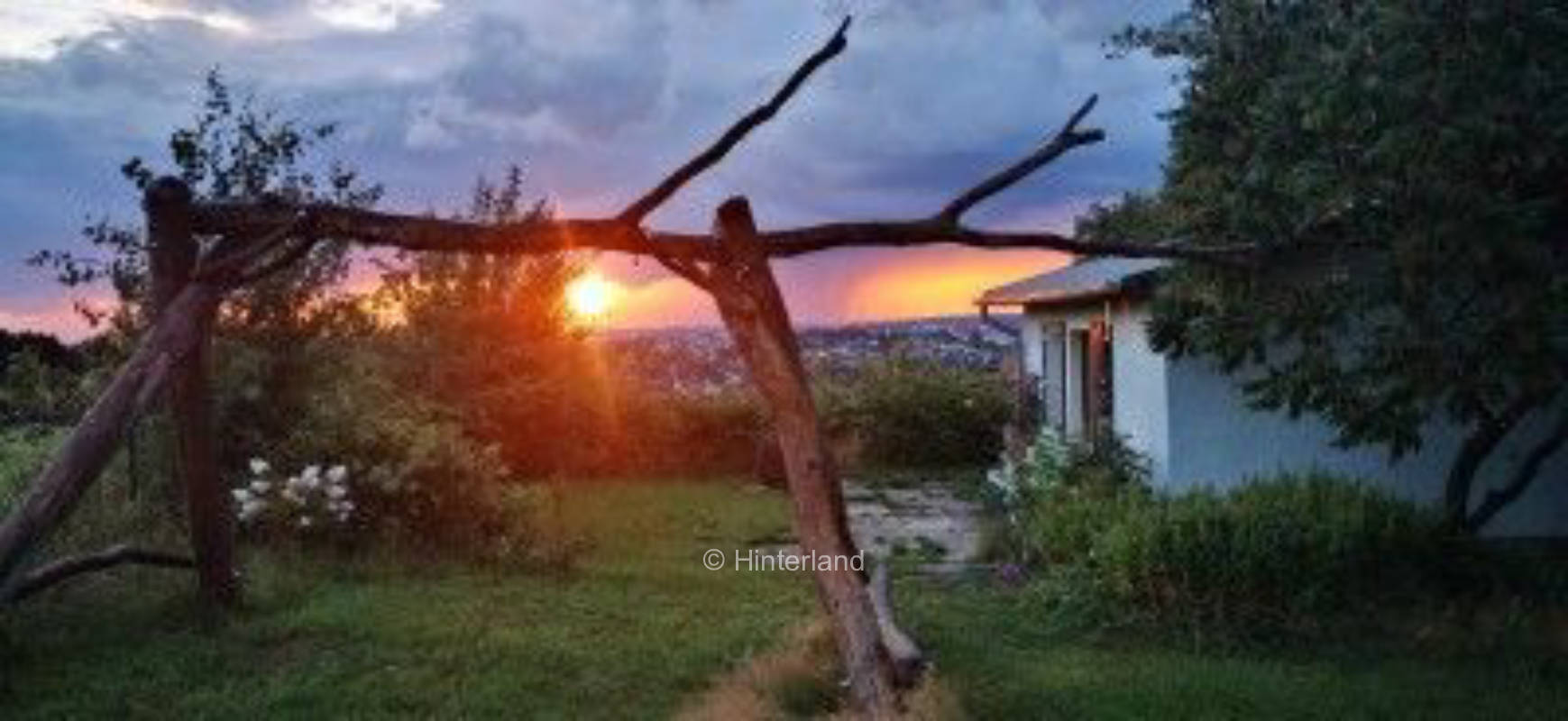 Goldener Blick im Erzgebirge