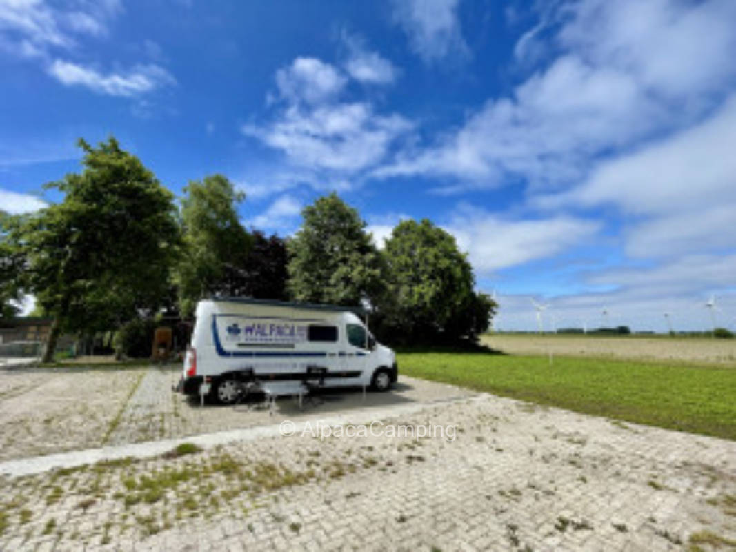 To the chicken happiness #1