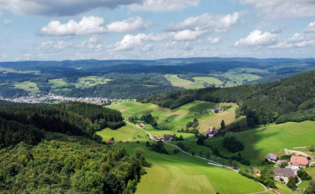 Decelerated Black Forest idyll