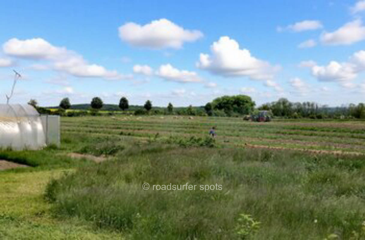 Camping am Feldblick mit Schafen und Ziegen