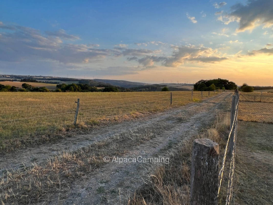 AlpacaCamping 5868