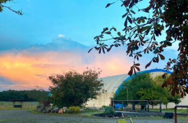 Camping am Pferdehof