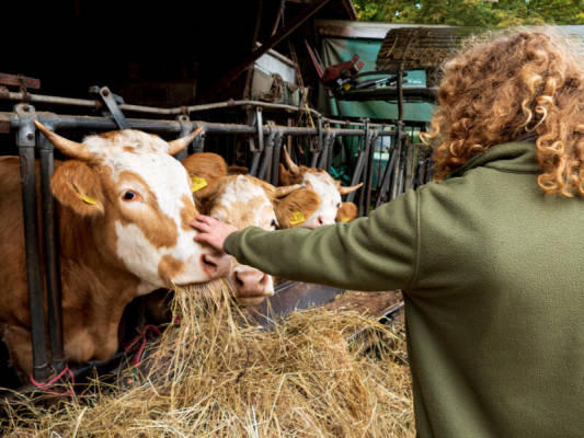Naturnah (Campspace 4135)