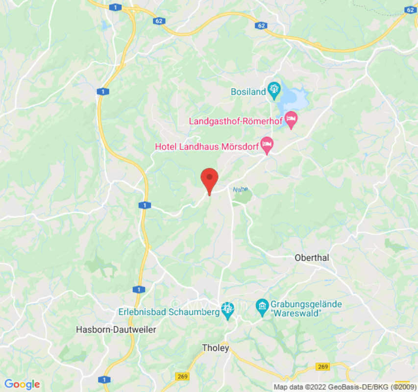 Blumenwiese mit Fernsicht im Naheland