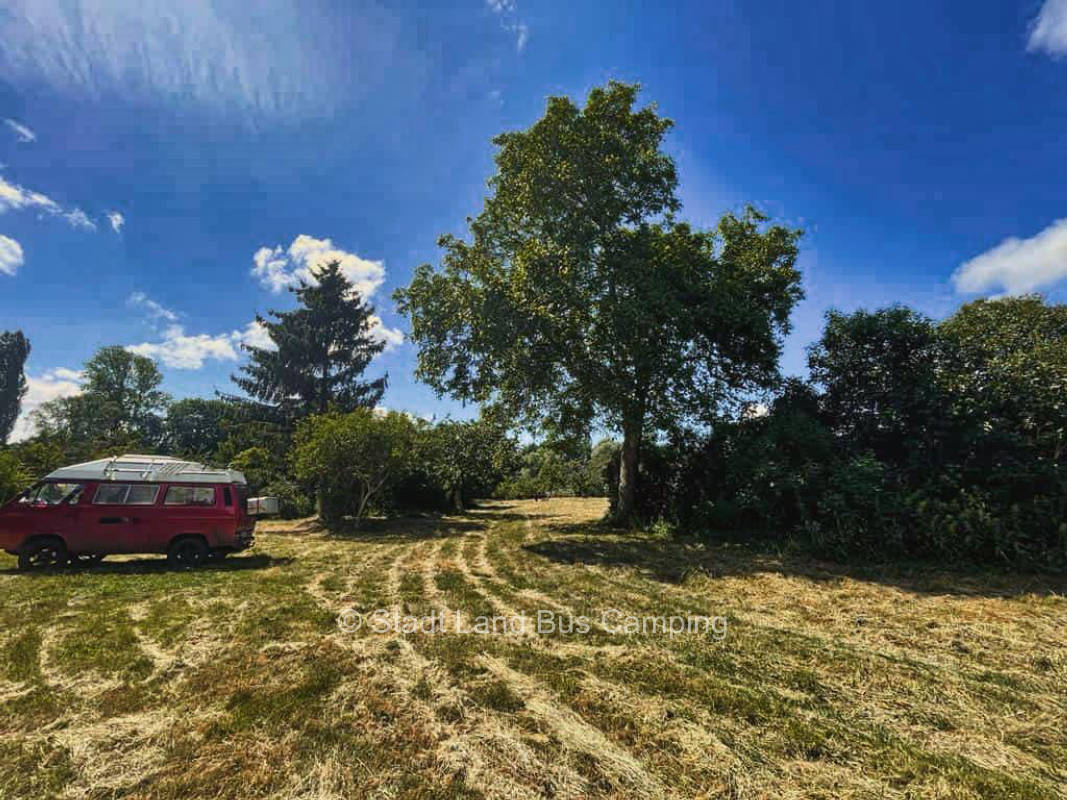 New garden land 1