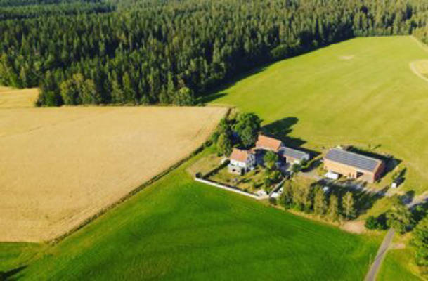 Krippnerhof Family-Friendly Hobby Farm
